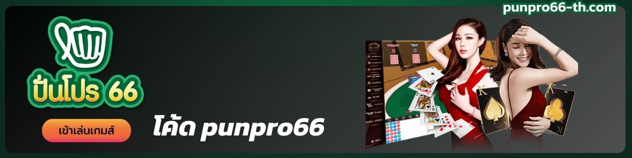 punpro66 code