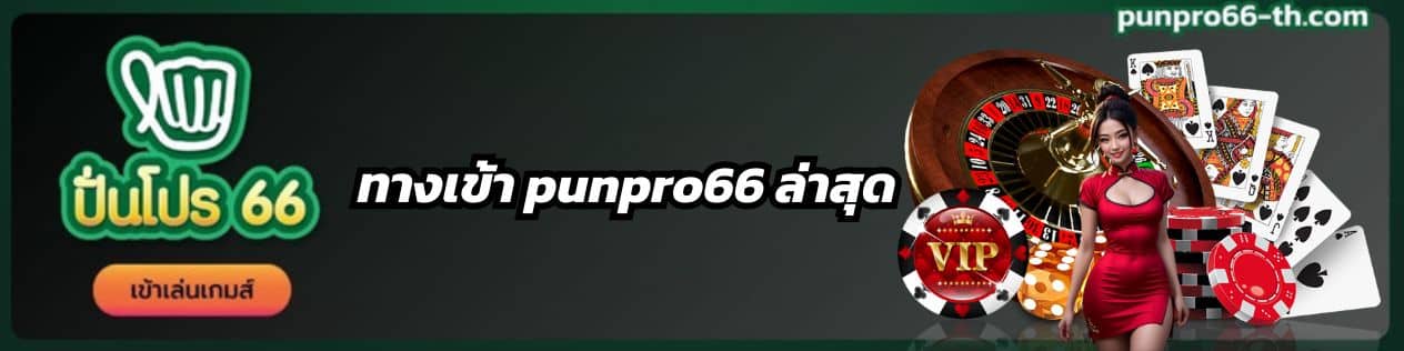 punpro66-direct-website-2024